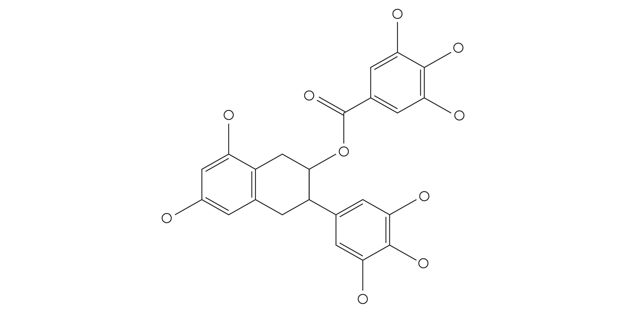 Camellia Sinensis (Green Tea) Leaf Extract