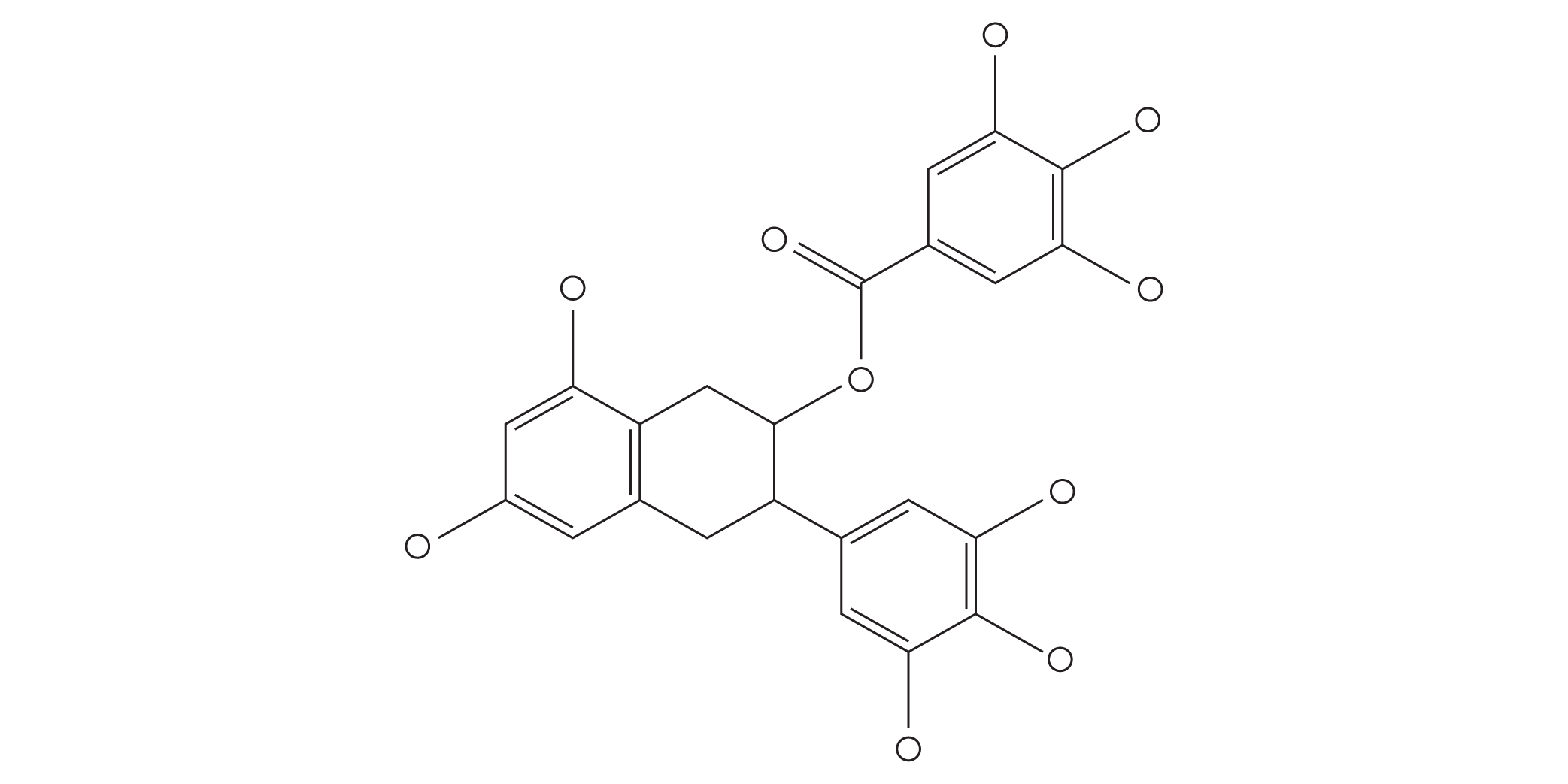Camellia Sinensis Leaf Extract