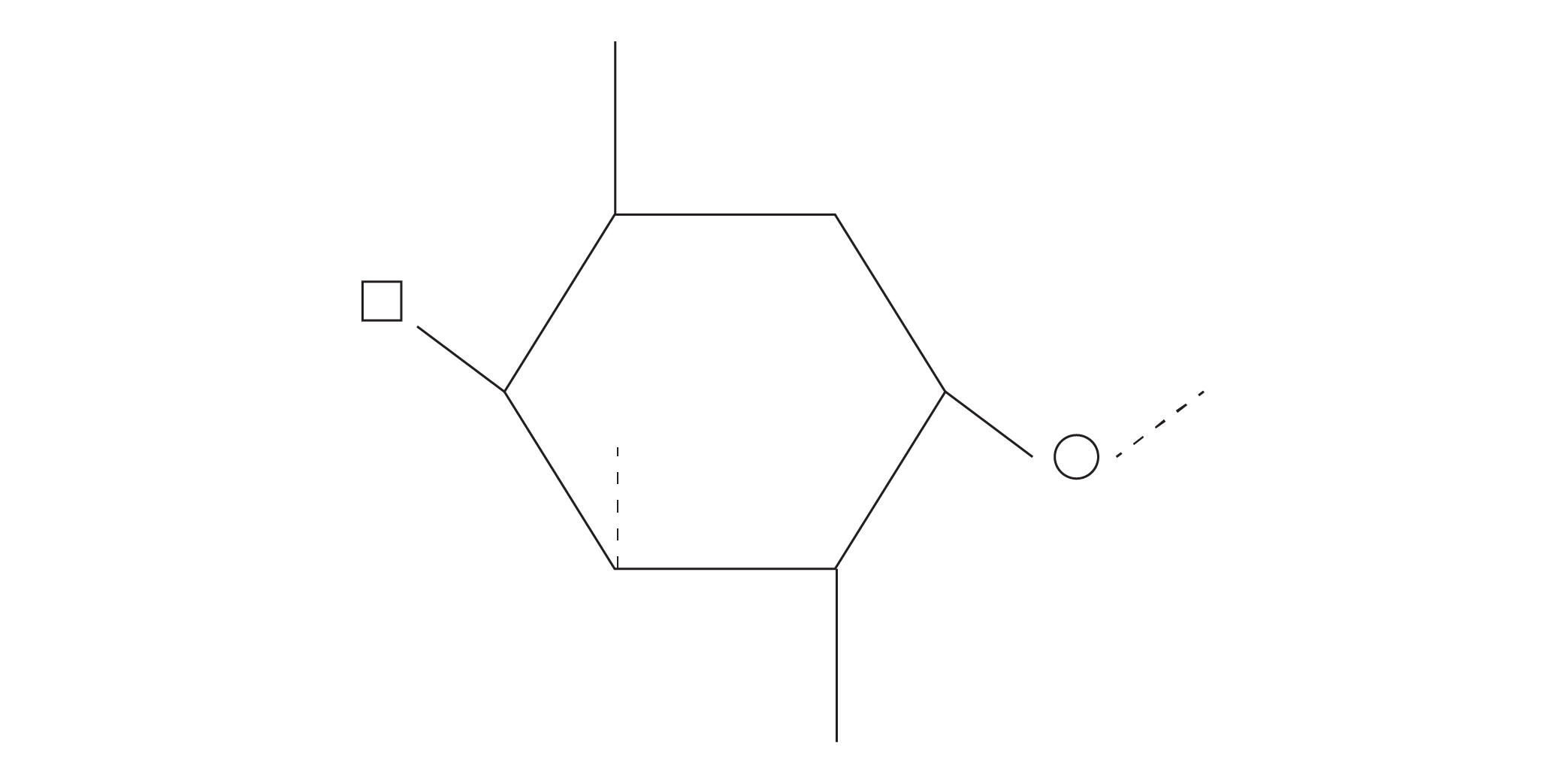 Chondrus crispus
