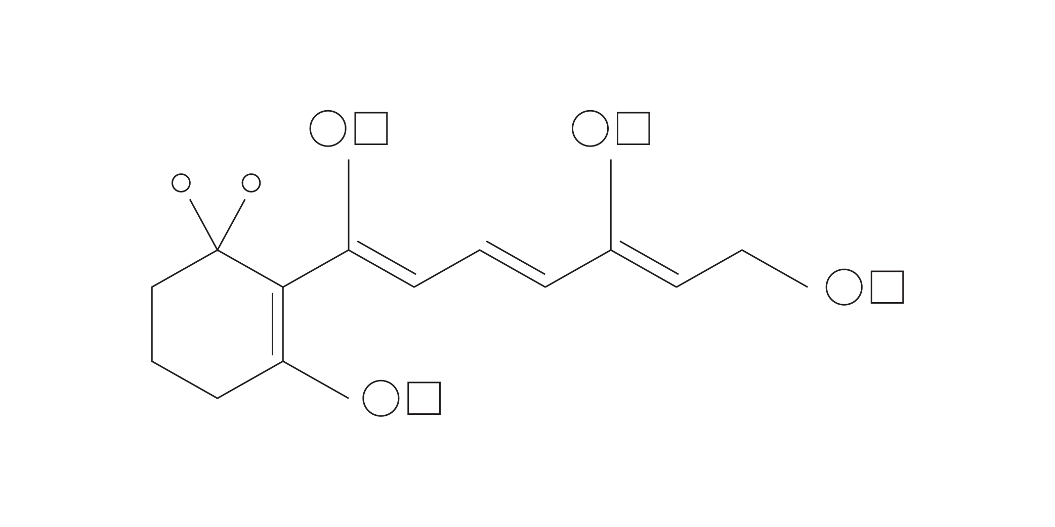 Encapsulated Retinol