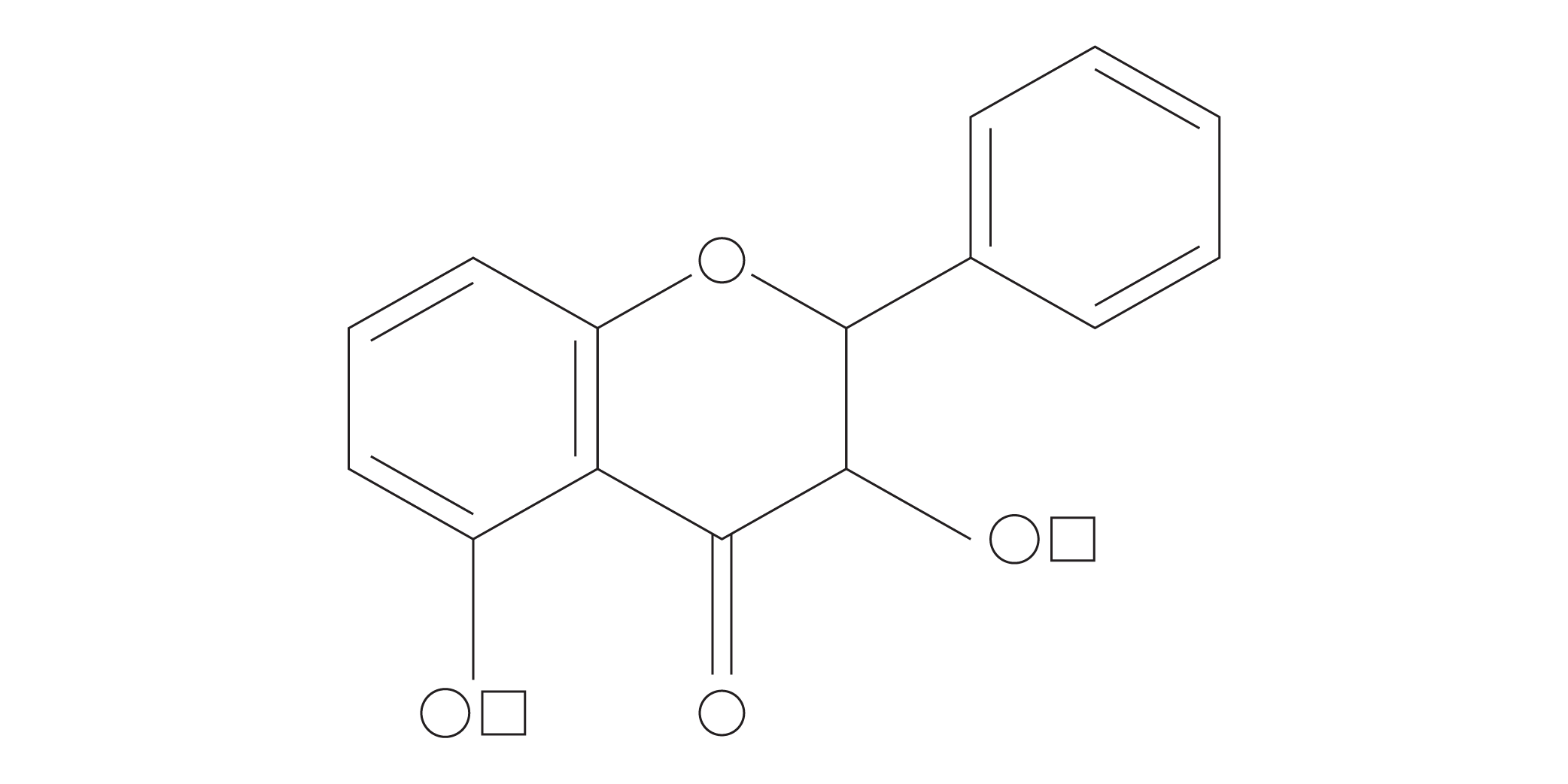 Hippophae Rhamnoides (Sea Buckthorn) Fruit Oil