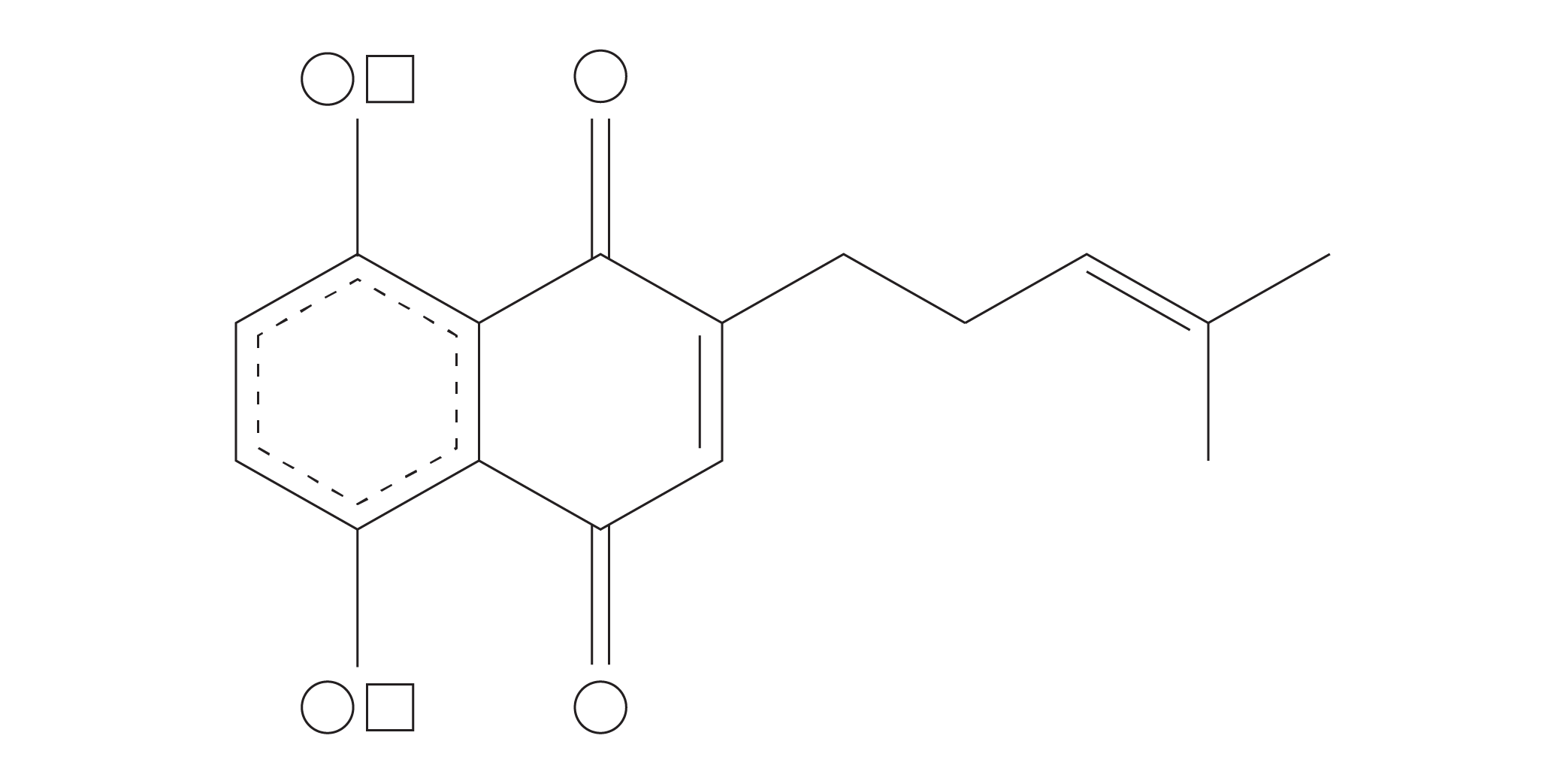 Lithospermum Erythrorhizon Root Extract