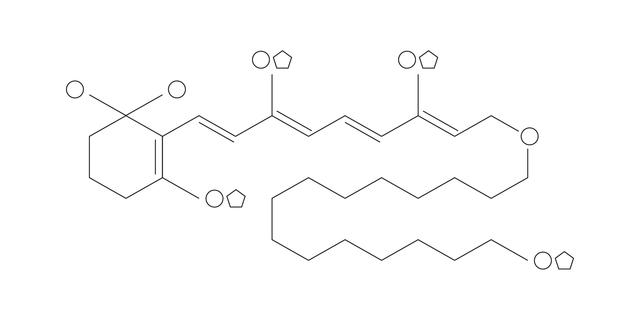 Retinyl Palmitate