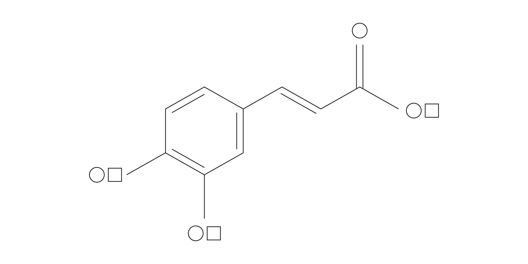 Ferulic Acid